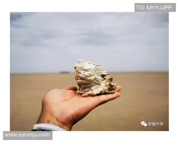 深度对话杨军讲述排球人生的奋斗与梦想之路 深度对话杨军讲述排球人生的奋斗与梦想之路